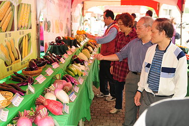 葫蘆科瓜果展示 