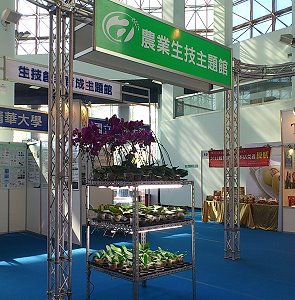 蝴蝶蘭優質分生苗量產技術海報及實物