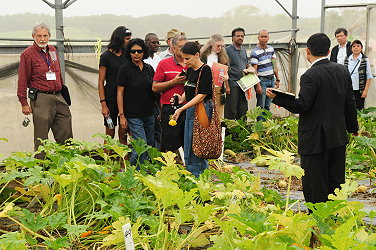 亞蔬外籍專家參觀夏南瓜選育試驗圃