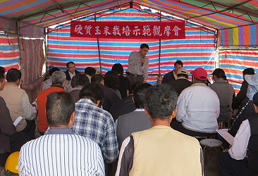 本場王仕賢場長 1 月 31 日主持在雲林麥寮舉辦之「硬質玉米栽培示範觀摩會」