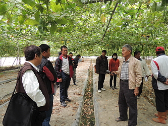 徐萬德農友帶領與會來賓至示範田參觀