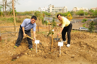 王仕賢場長與畜試所黃英豪所長共同栽植紅花風鈴木