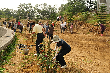 本場同仁齊心協力植樹、澆水，不亦樂乎！
