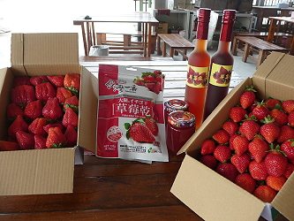 草莓及加工產品