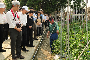 田間參訪新市農友種苗公司，由育種人員介紹番茄育種