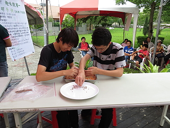 趣味活動之挑西瓜種子比賽