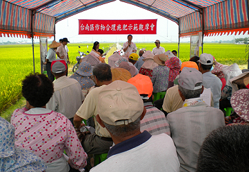 本場在張女士田區召開水稻合理化施肥成果觀摩會