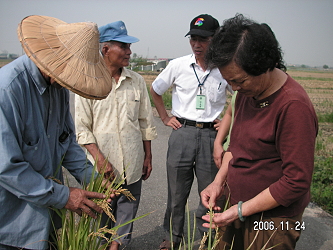 經常與農民討論並時時關心稻作的生育情形
