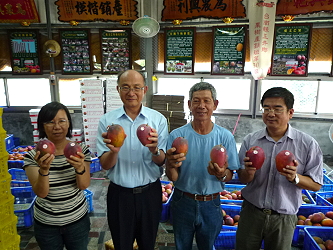 外銷日本的高品質芒果