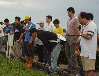 羅正宗分場長現場介紹水稻品種