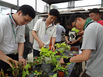 學員學習扦插繁殖