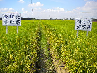 合理化施肥區與慣行法對照區之比較
