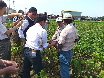 陳副主委關心毛豆災情