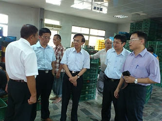 陳副主委文德至南化區農會農產品分級包裝場，實地了解芒果共同運銷情形