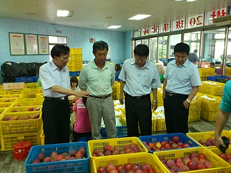 陳副主委至第 20 班了解產銷班芒果運銷情形