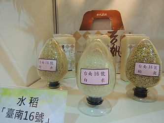 本場參展項目－水稻臺南 16 號