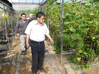 王仕賢場長現場診斷香瓜生產管理問題