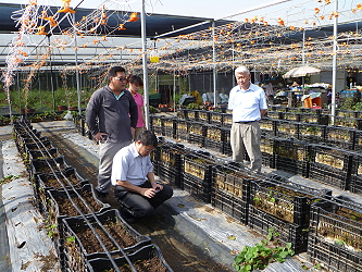 王仕賢場長現場診斷草莓生產管理問題