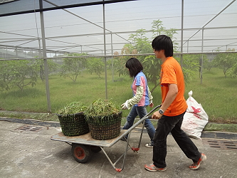 清晨除草的成果～台大園藝系家瑜及宜大園藝系凱綺 