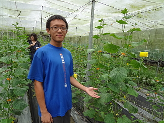 景文與他的小黃瓜