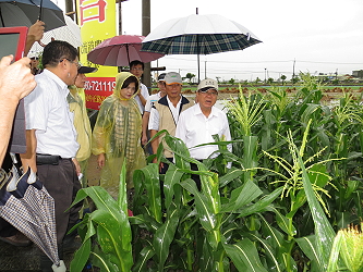陳主委視察雲林縣虎尾鎮玉米災損