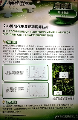 本場參展項目「文心蘭切花生產花期調節技術」非常具有產業應用價值