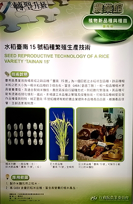 本場參展項目「水稻臺南 15 號稻種繁殖生產技術」可以創造農企業更高利潤