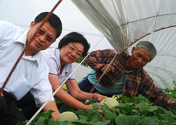觀摩會於黃義紘農友 ( 右 ) 示範田舉辦，由本場王仕賢場長 ( 左 ) 與七股區農會黃惠美總幹事 ( 中 ) 共同主持