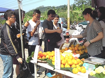 現場的民眾熱烈品嚐當令好「柿」