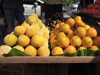 濃妝淡抹總相宜的番路雙柿，利用石灰水浸漬（左）及真空（右）不同方式脫澀，一樣好吃！