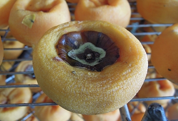 柿餅製作的現場展示