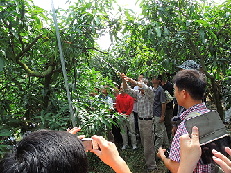 果園現場交流情形， 吳班長示範秋冬梢管理第一步 — 整枝修剪，雖然這時不是修剪期，還是忍痛犠牲一株