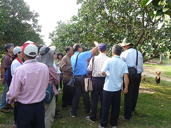 張汶肇副研究員教導學員整枝修剪之技術