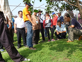 施新嚌 先生分享果園草生栽培經驗