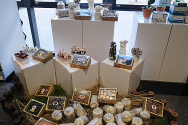 菇類研發成果展示一角