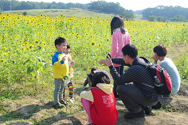 向日葵花海前的美美照是一定要的啦 ! 