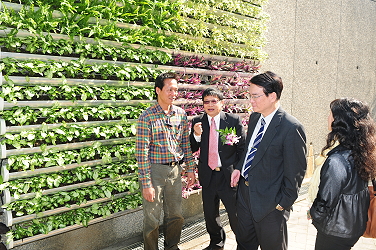 王場長及綠屋頂協會盧晞宏理事向胡興華副主委介紹綠牆系統
