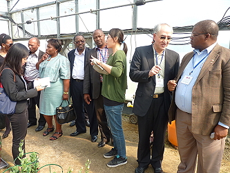 王美琴助研員向來賓解說本場洋桔梗育種情形及品種特性