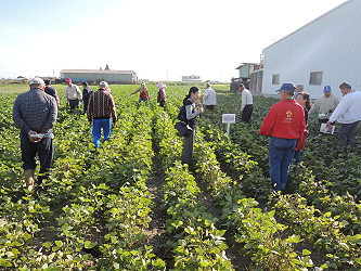 農民熱烈參與田間觀摩