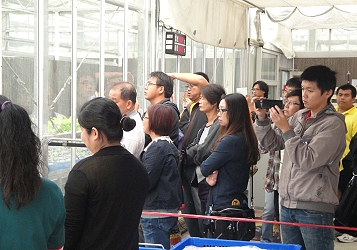 自動噴灌示範觀摩