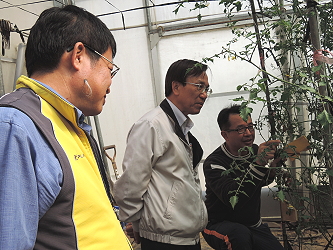 陳副主委參訪太保市蔬菜產銷班第 7 班的栽培模式及管理現況