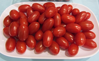 冬季臺灣新嬌點 ─ 嬌艷欲滴的小果番茄