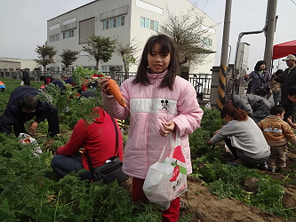 拔蘿蔔真好玩！歡迎大家一起來！