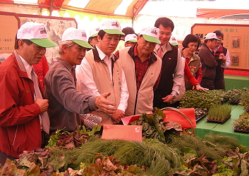 賴清德市長參觀佳里區蔬菜產銷第 7 班 ( 吉園圃 ) 林中智農友生產的蔬菜產品