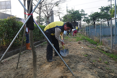 秘書 ~ 種樹的男子好帥 !