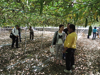 羅財茂農友帶領與會來賓至示範田參觀