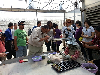 張副研究員說明蘭花瓶苗出瓶後，以水草介質植入小盆，待長大後再予以換