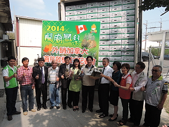 關廟鳳梨真正讚啦！