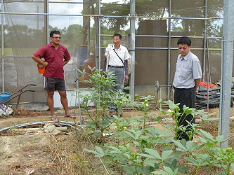 臺南區農業改良場王仕賢場長現場診斷輔導蔡吉隆先生