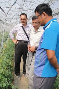 本場陪伴師陳紹崇先生與盧主持人子淵苦瓜園現場輔導